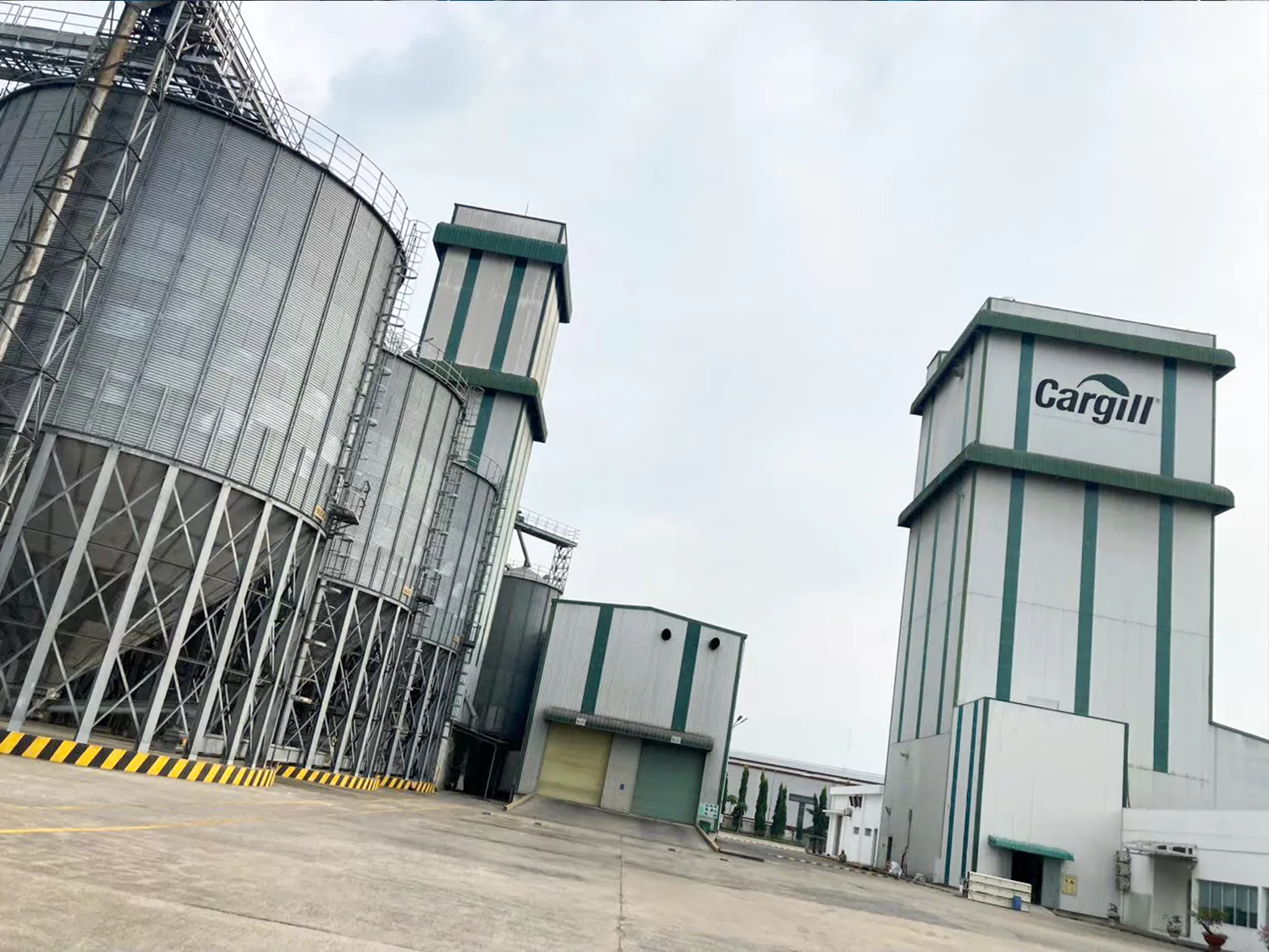 Dự Án Bin Rerun Tại Nhà Máy Cargill Hà Nam